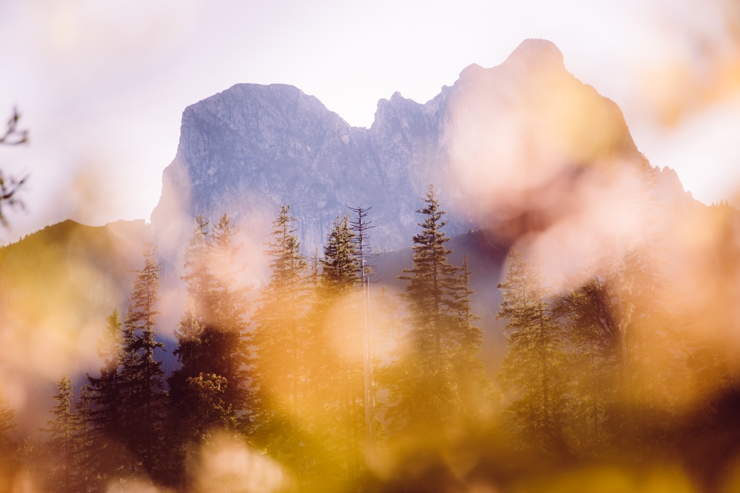 Hochzeitsfotograf_Allg&auml;u_Pfronten_Schlossangeralp_Falkenstein_14