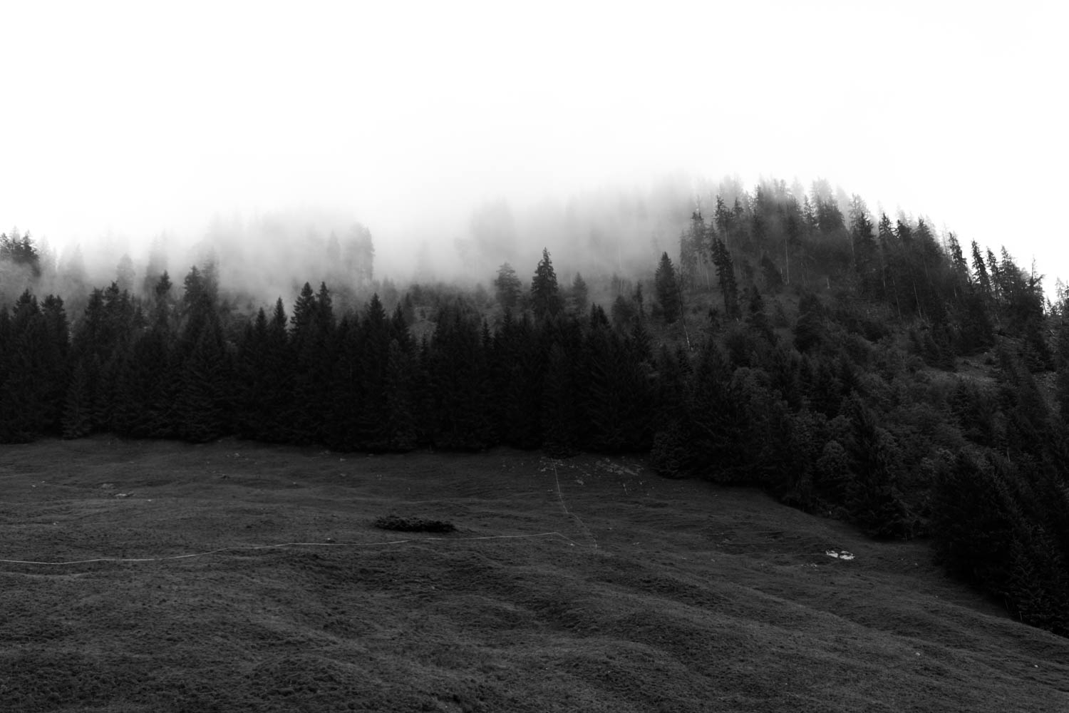 Hochzeitsfotograf_Oberstdorf_Jagdhaus_blauerSalon_Berghochzeit-Allgäu_39