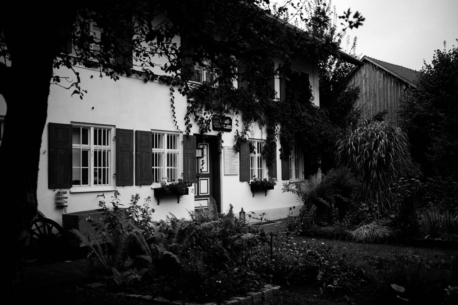 Berghochzeit_Allg&auml;u_Elopement_F&uuml;ssen_12