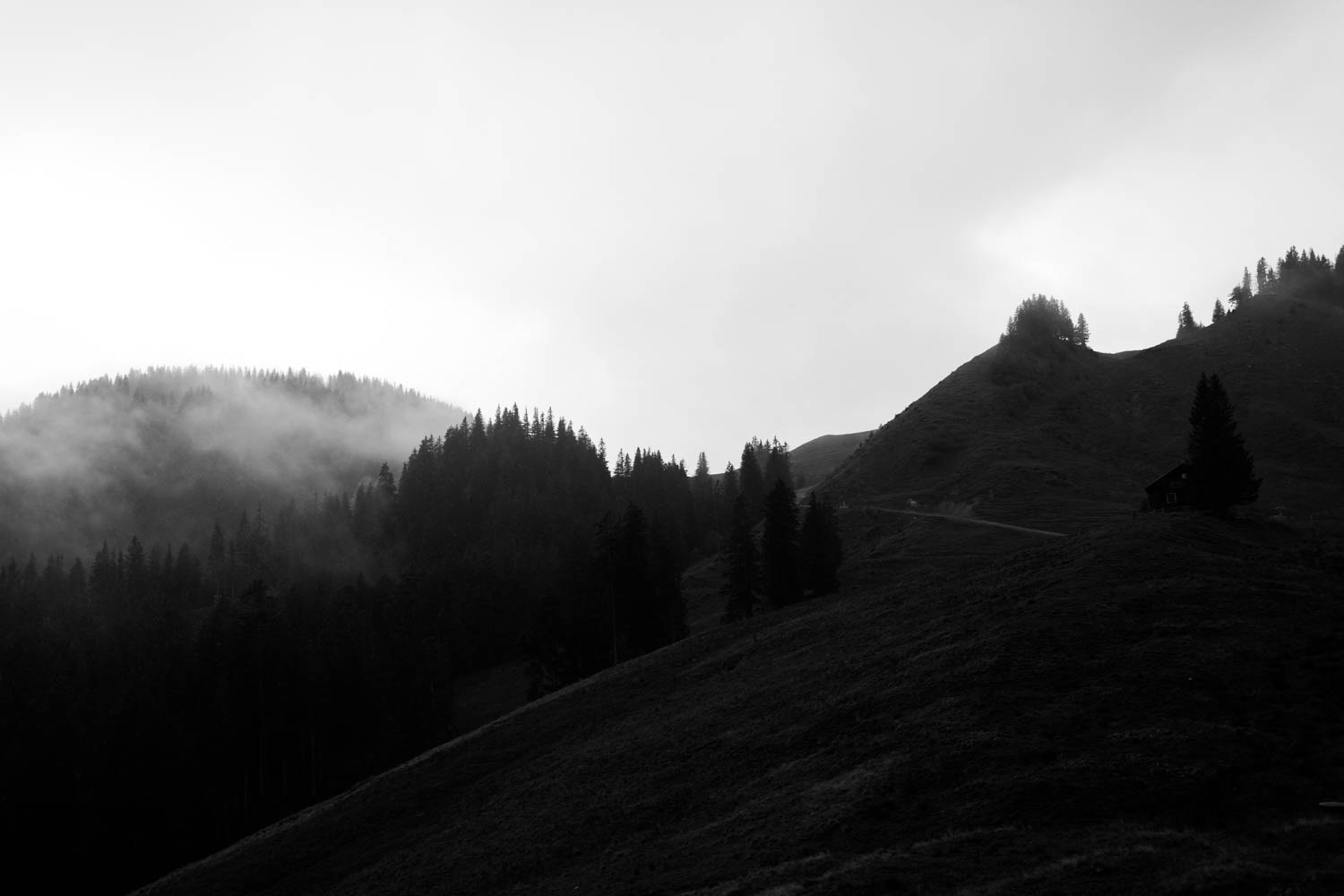Berghochzeit_Allg&auml;u_Elopement_F&uuml;ssen_80