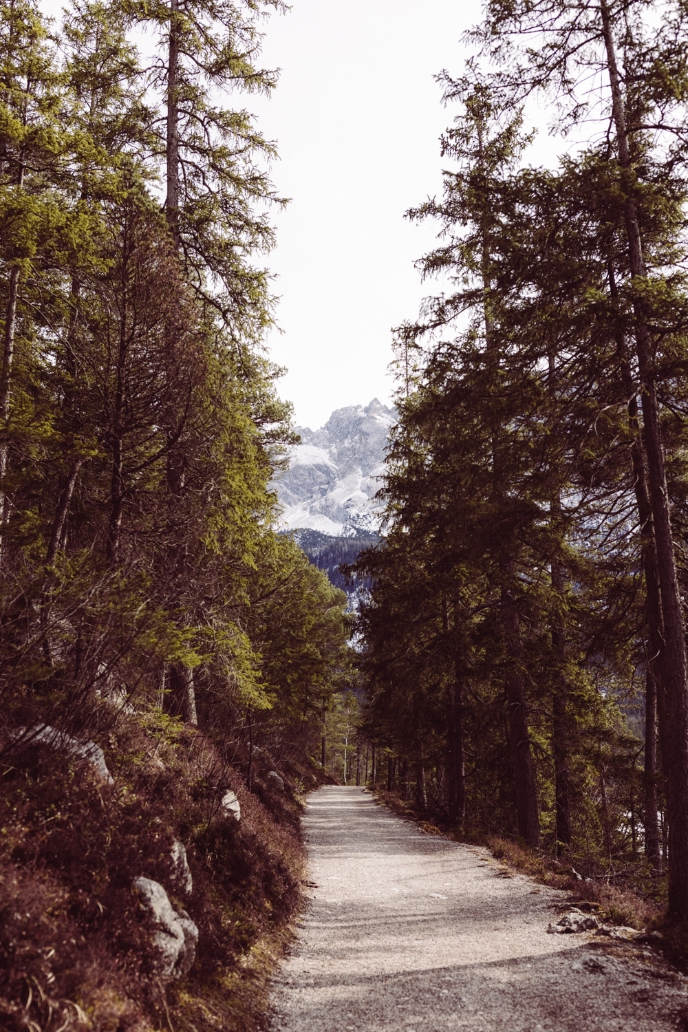 Elopement_Eibsee_Zugspitze_Hochzeitsfotografin_Garmisch_63