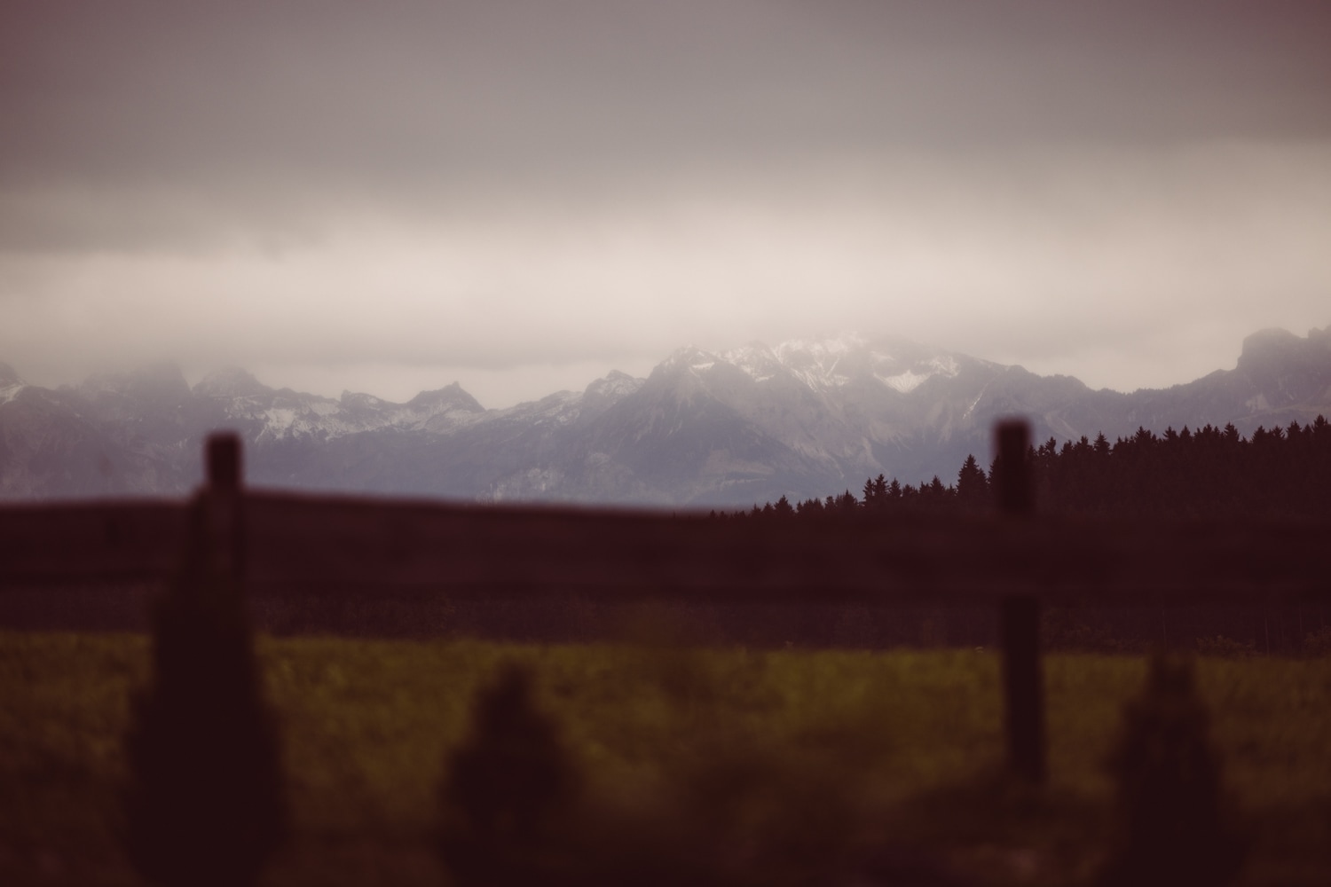Gleichgeschlechtliche-Hochzeit_Allg&auml;u_Hochzeitsfotografin_-31