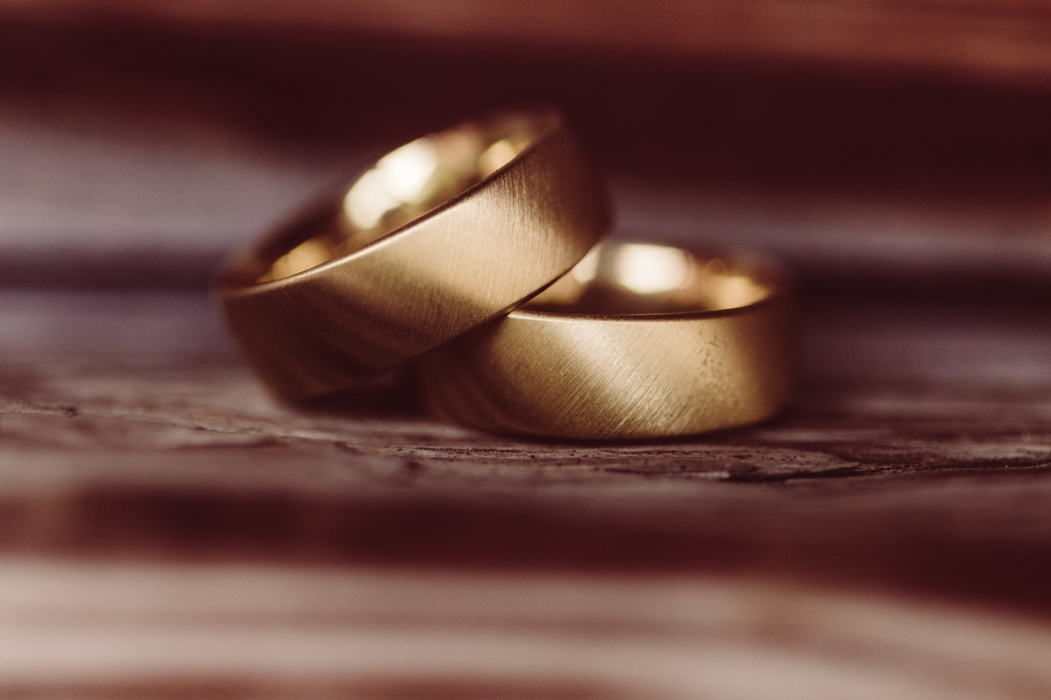 Gleichgeschlechtliche-Hochzeit_Allg&auml;u_Hochzeitsfotografin_-36