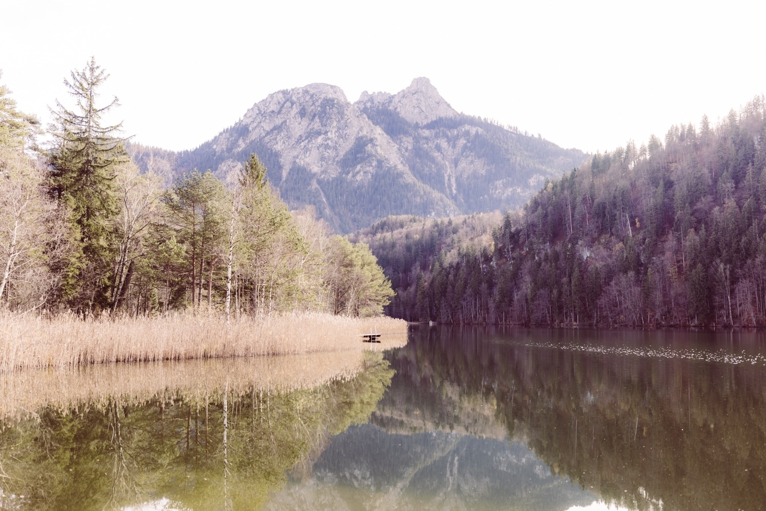 Elopement_Allg&auml;u_Berghochzeit-47