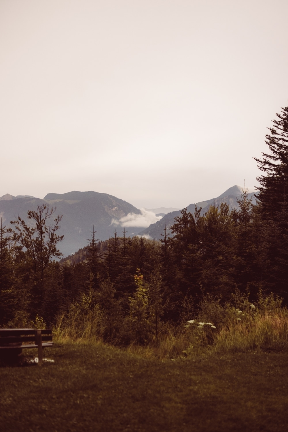 Berghochzeit_Allg&auml;u_Fotografin-111