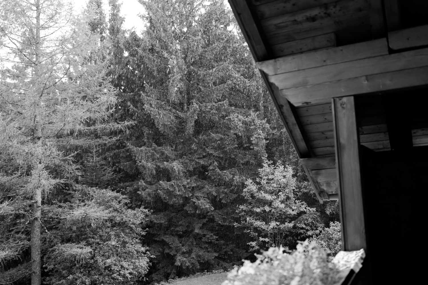 Berghochzeit_Allg&auml;u_Fotografin-31