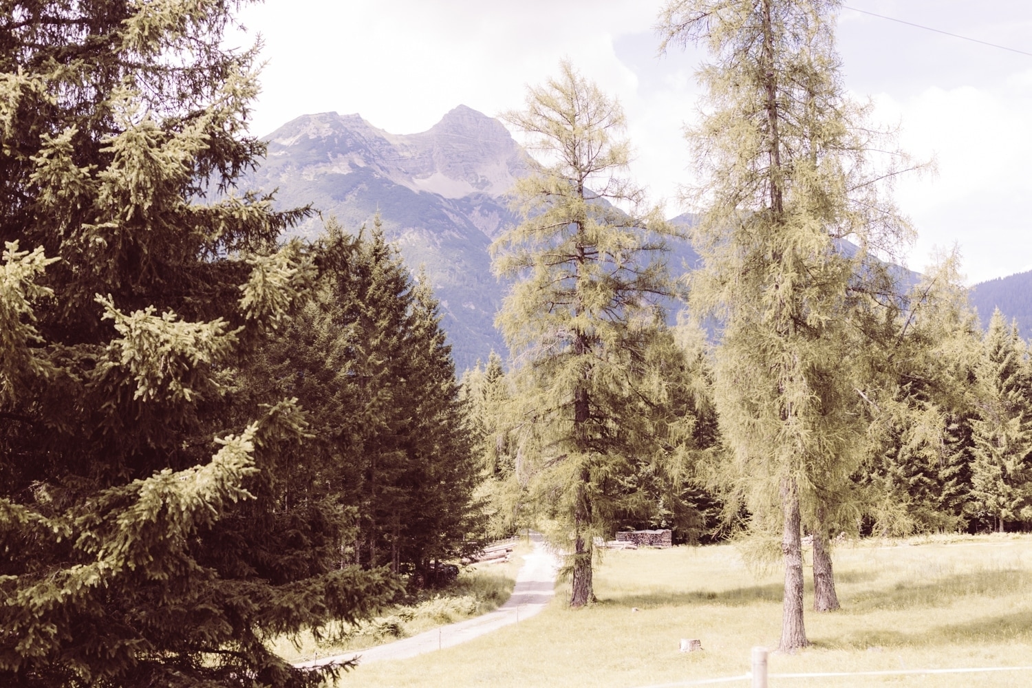 Hochzeitsfotografin_Ehrwald_Gamsalm-2