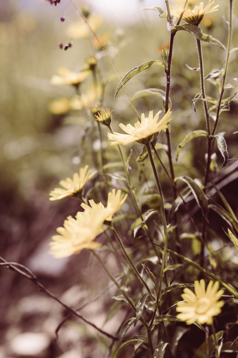 Hochzeitsfotografin_Allg&auml;u_Breitenberg_110