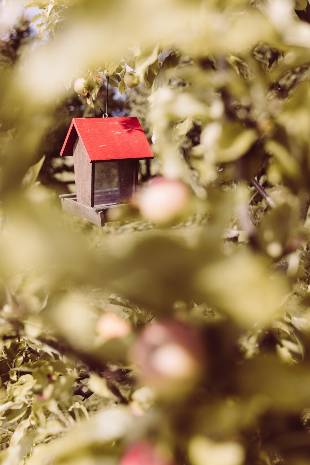 Hochzeitsfotografin_Wangen-im-Allg&auml;u_Windh&auml;usern5-7
