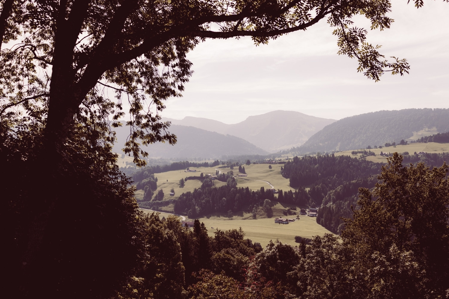 Hochzeitsfotografin_Oberstaufen_Hochzeitsfotografie_Oberallg&auml;u_13