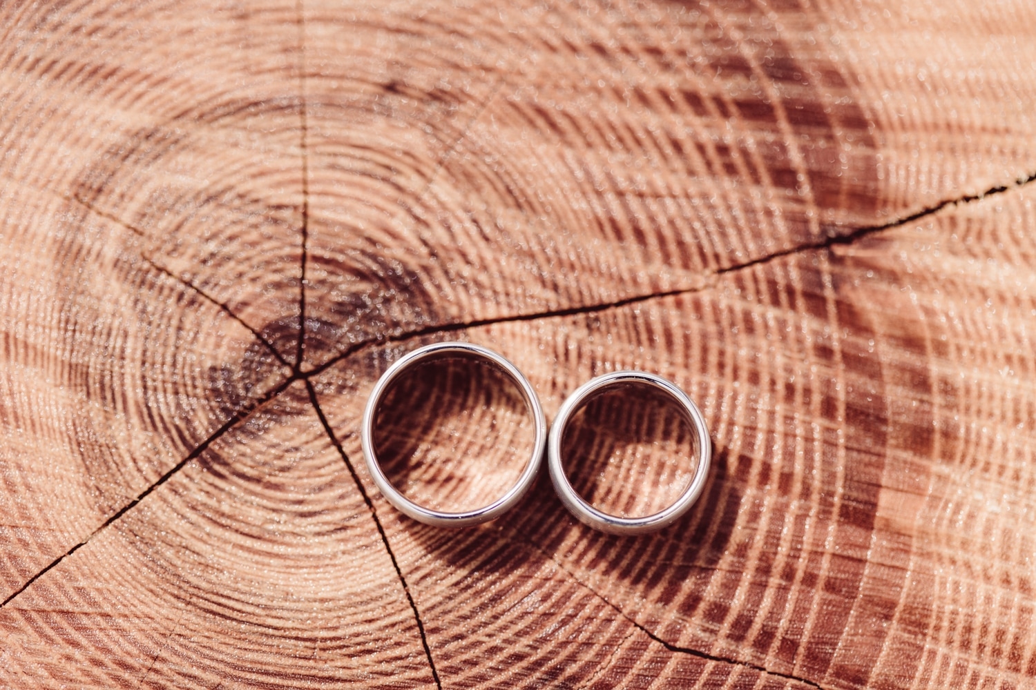 Hochzeitsfotografie_Oberstaufen_Heiraten-zu-zweit_Elopement_-58
