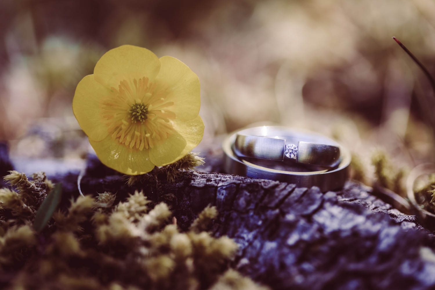 Hochzeitsfotografin_Vilsalpsee_Elopement_Tannheim-67