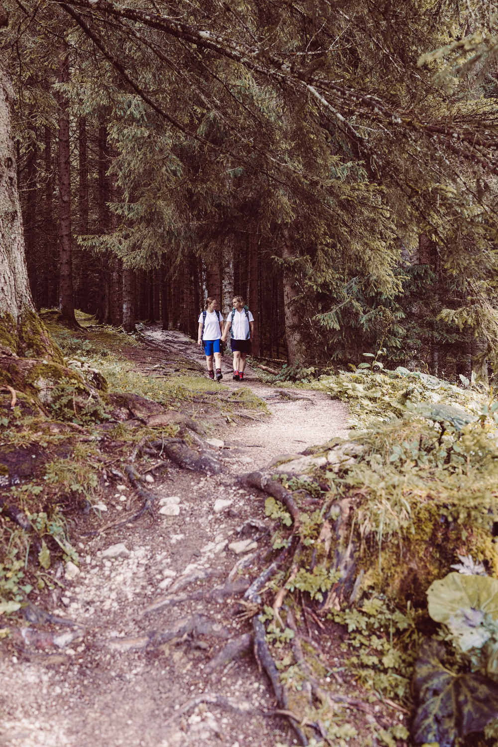 Wanderhochzeit_zu-zweit_Fotografin_Berg-Elopement_&Ouml;sterreich-62